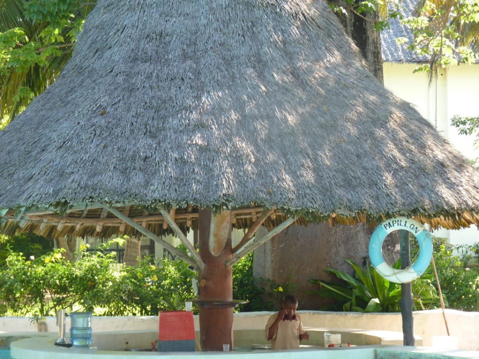 Poolbar Hotel Papillon Lagoon Reef