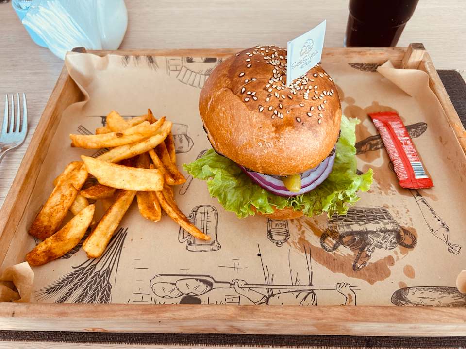 Gastro Seashell Vega