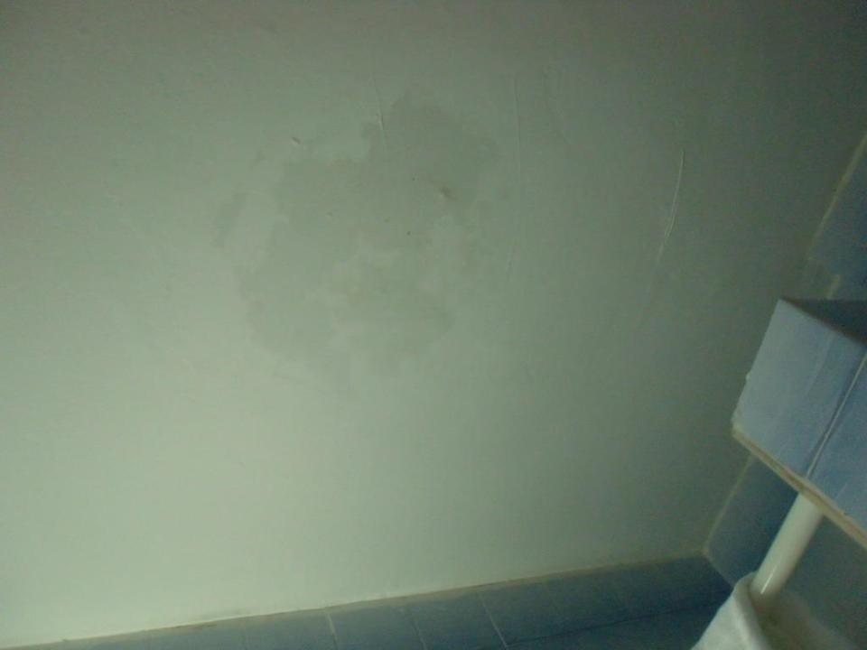 Feuchter Fleck Rivijera Villen & Dependance Flora & Madera