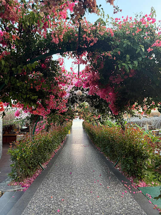 Außenansicht Rubi Platinum Sign