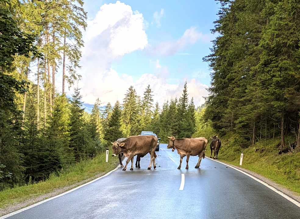 Sonstiges FIRSTpeak Zauchensee