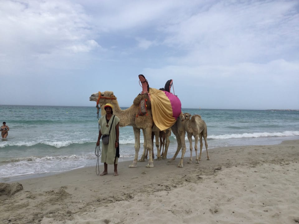 Sonstiges TUI MAGIC LIFE Penelope Beach