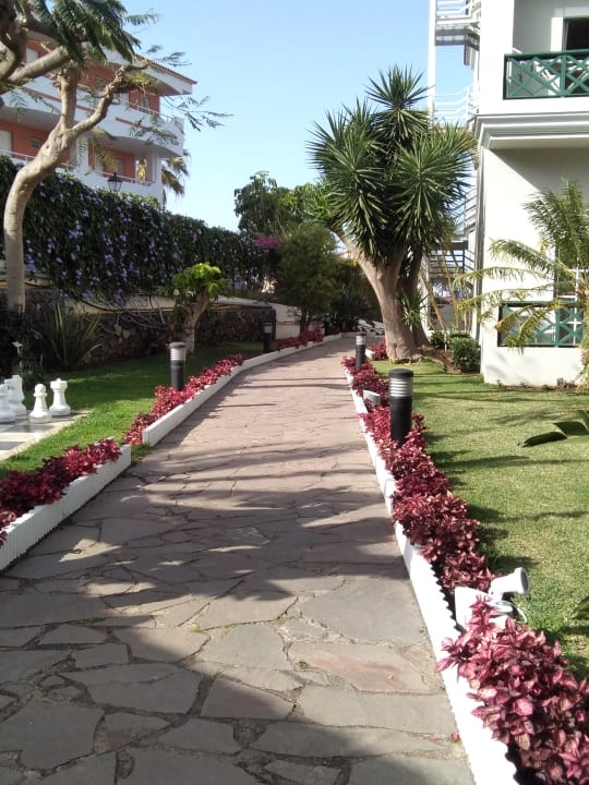 Gartenanlage Hotel Riu Garoe