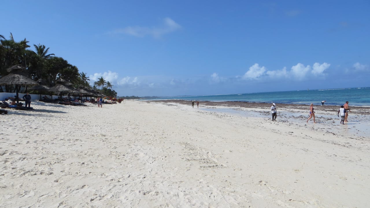 Der Strand direkt vor dem Hotel Hotel Southern Palms Beach Resort