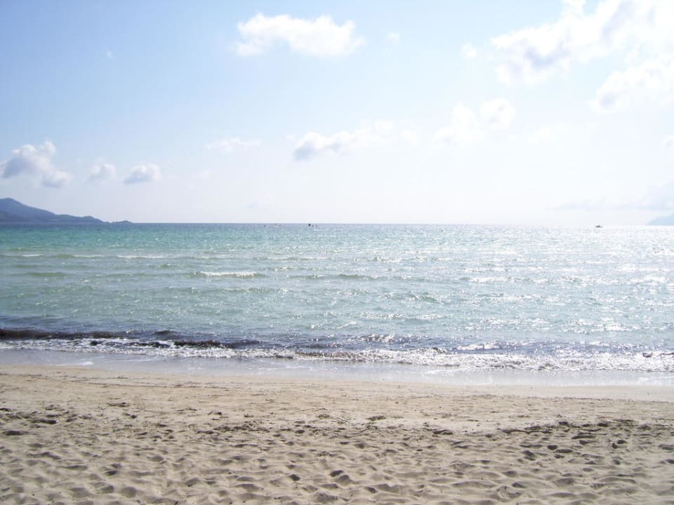 Blick auf das Meer Iberostar Waves Playa de Muro