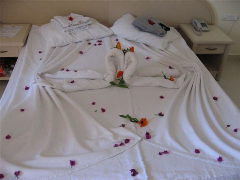 Tolle Deko Aska Hotel Just in Beach