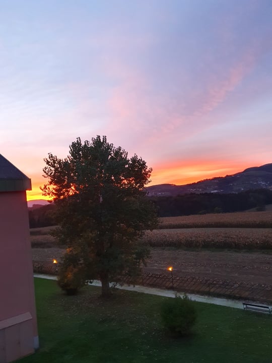 Ausblick Wilfinger Ring Bio Hotel