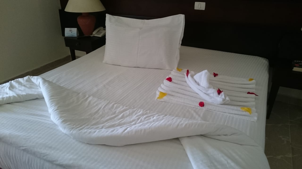 Zimmer Malikia Resort Abu Dabbab