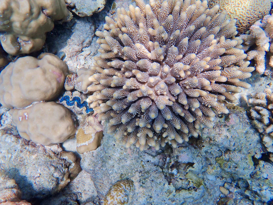 Sport & Freizeit NH Collection Maldives Reethi Resort