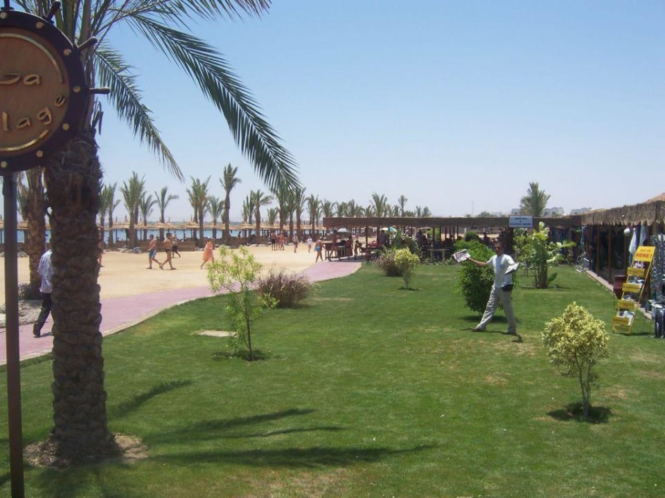Haltestelle von Beach shuttle Bus am Strand Pickalbatros Aqua Park Resort - Hurghada