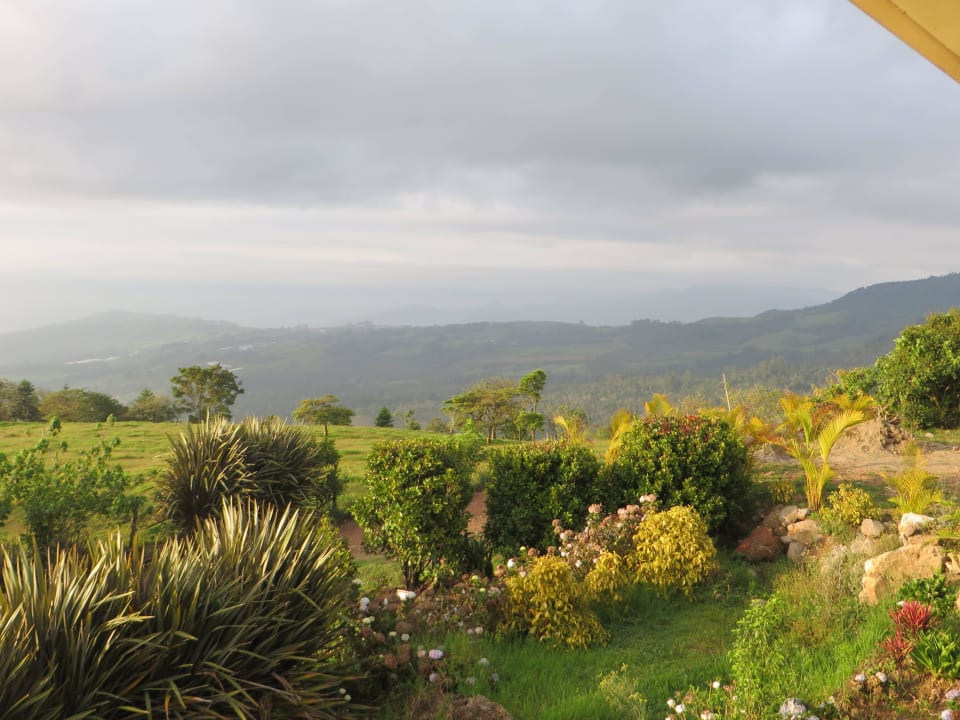 Blick morgens vom Balkon Hotel Guayabo Lodge