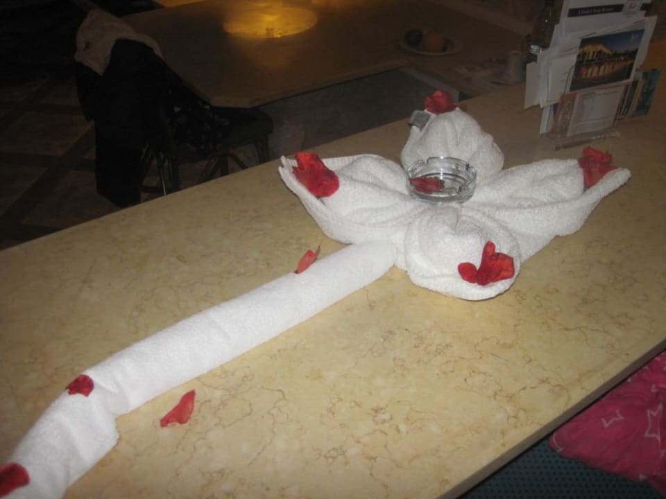 Kleine Überraschung im Zimmer Pickalbatros Citadel Resort