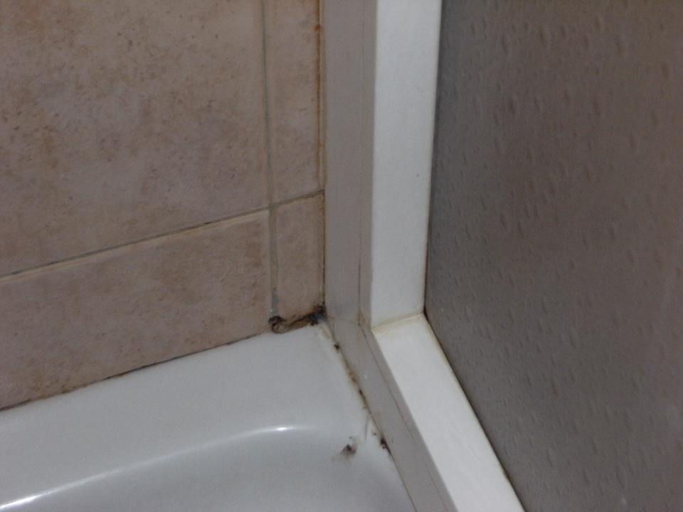 Duschtasse  Hotel Parque Cristina