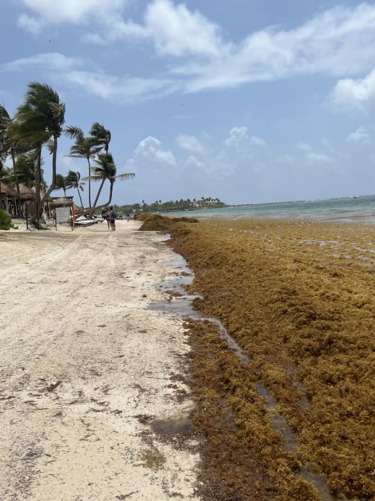 Strand Akumal Bay Beach & Wellness Resort