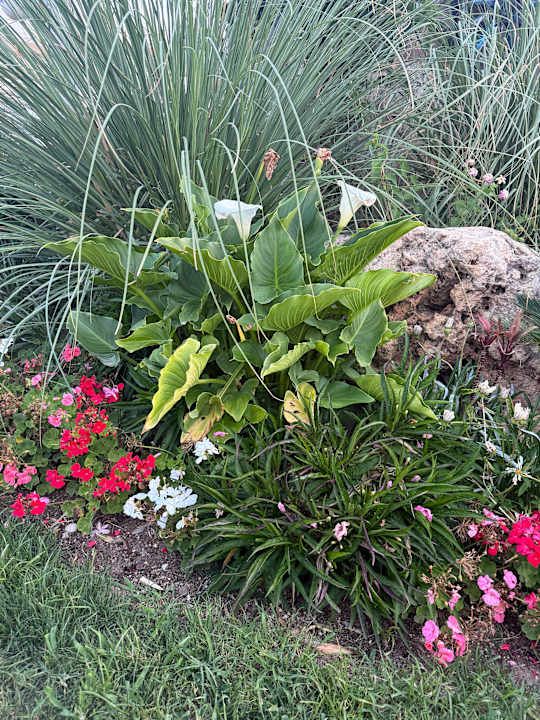 Sonstiges TUI Magic Life Belek