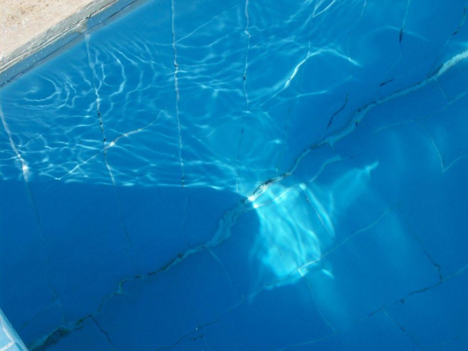 Pool Club Sidelya Hotel