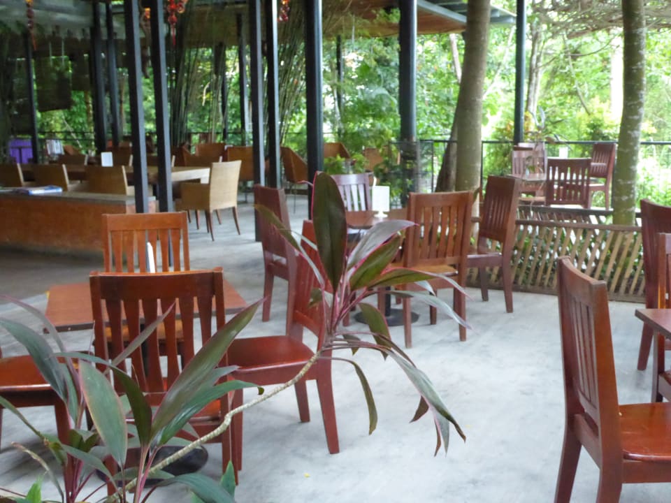 Bar - Räumlichkeit Hotel Belum Rainforest Resort