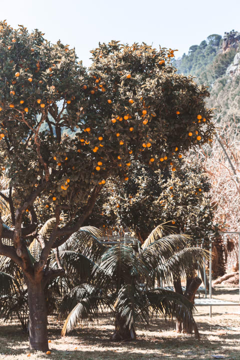 Außenansicht Finca Ca N'Aí