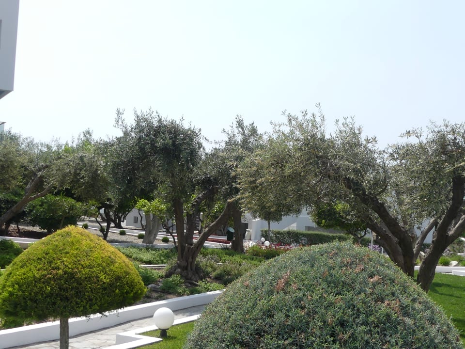 Außenansicht Dimitra Beach Hotel & Suites