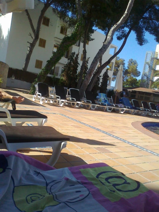 Morgens halb zehn im Juni Moon Dreams Coral Beach