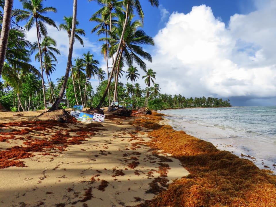Strand Bahia Principe Grand El Portillo