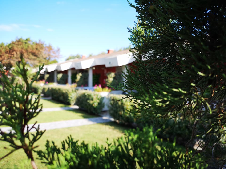 Gartenanlage Club Esse Sporting