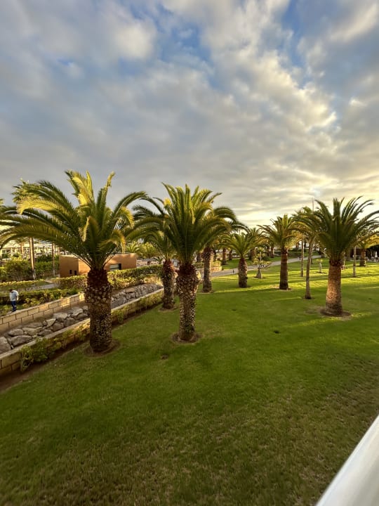 Ausblick Hotel Riu Palace Tenerife