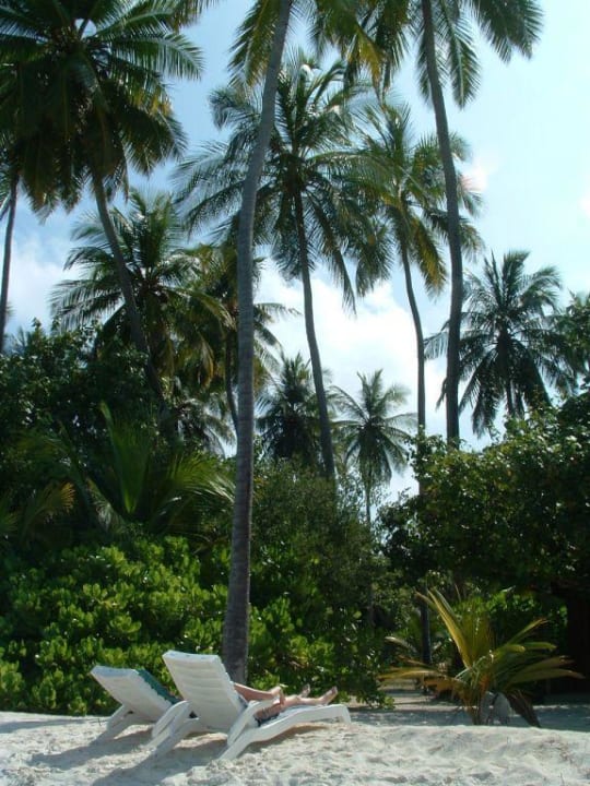 Plaża Meeru Maldives Resort Island