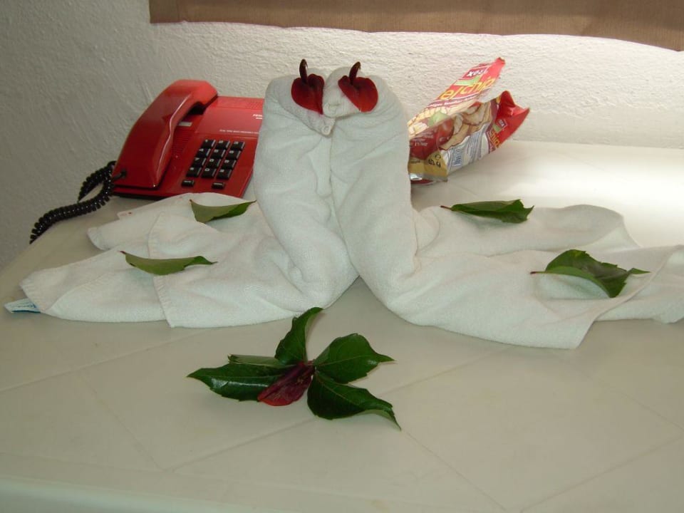 Hane Apartment in Side/Kumköy Apartments Hane Annex