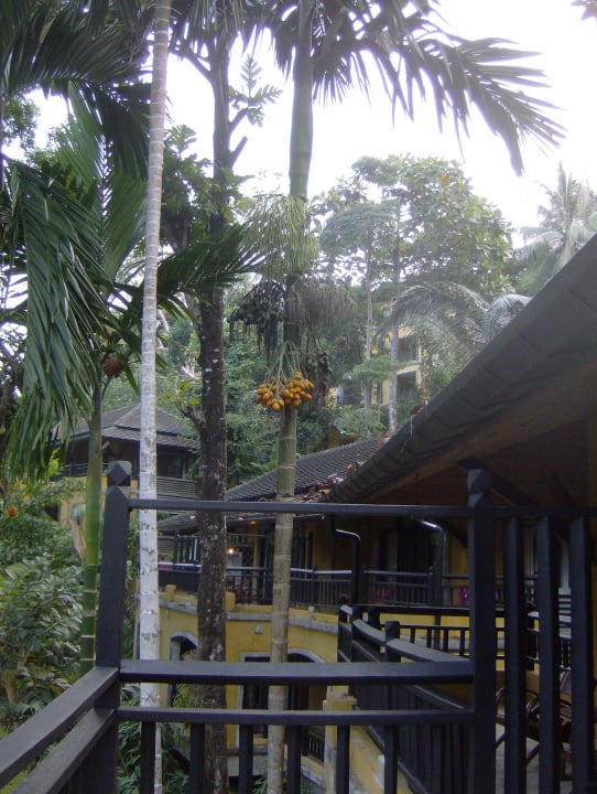 Über den Dächern  Moracea by Khao Lak Resort