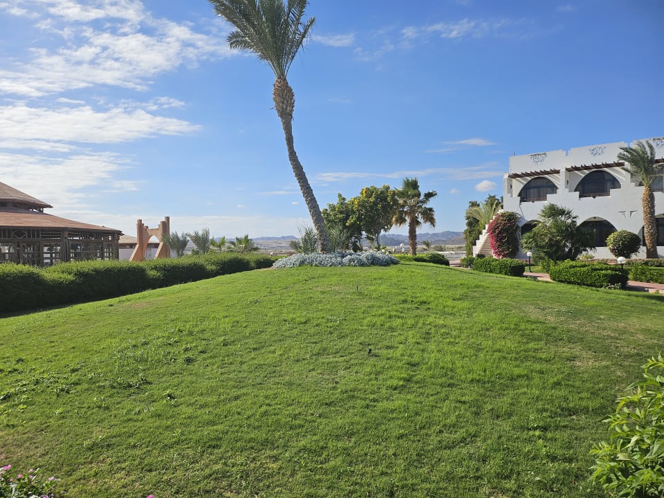 Gartenanlage Three Corners Equinox Beach Resort