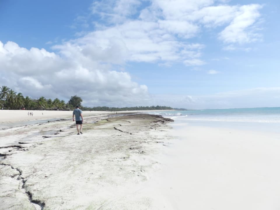 Strand Hotel Jacaranda Indian Ocean Beach Resort