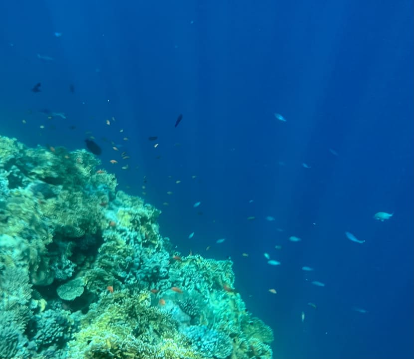 Sport & Freizeit Novotel Marsa Alam Beach Resort