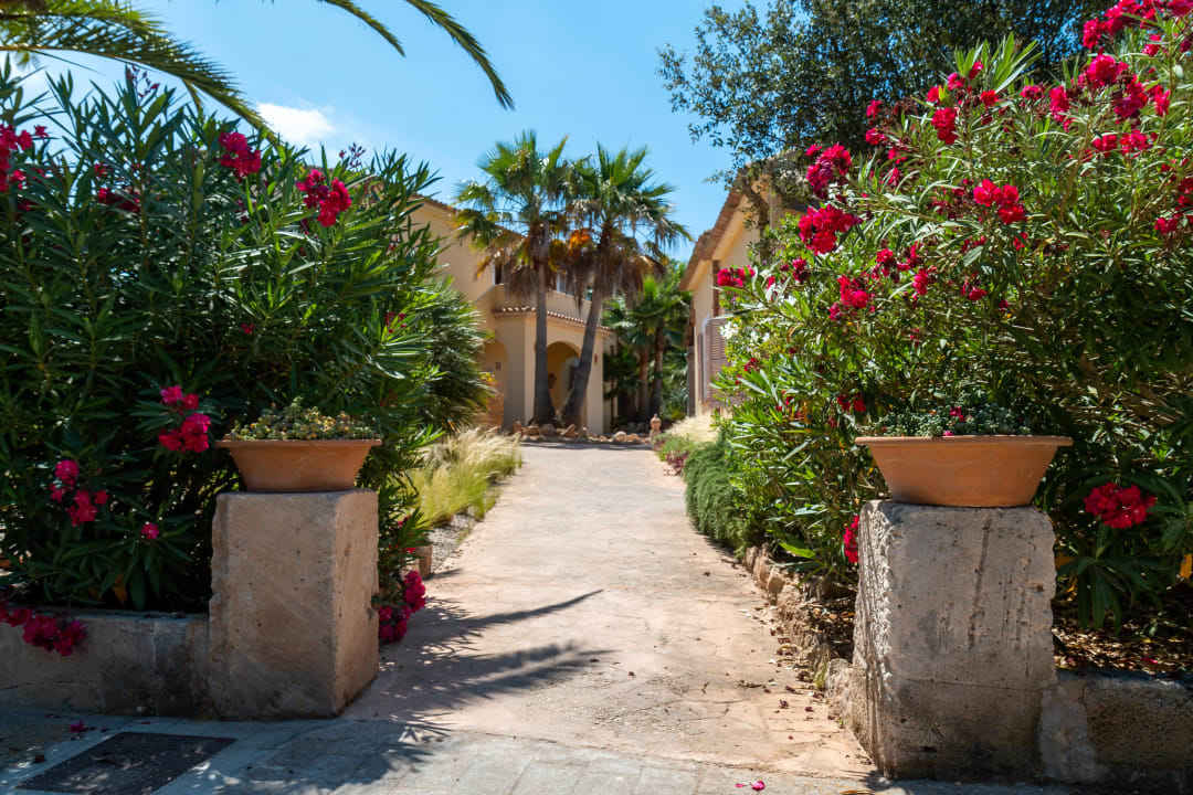 Gartenanlage Finca Ses Rotes Velles