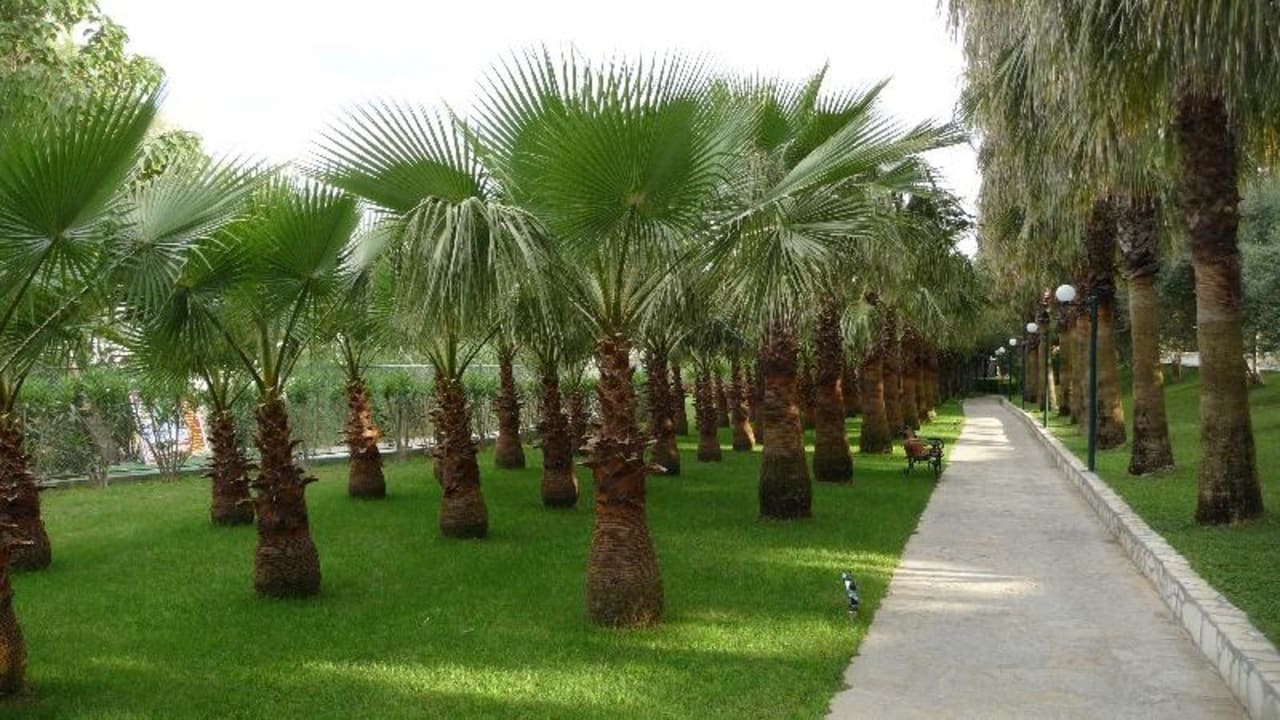 Weg zum Strand Miramare Queen Hotel