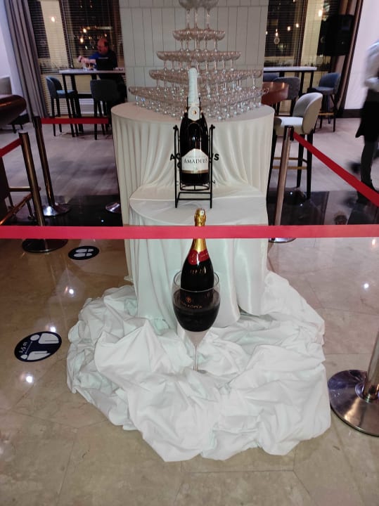 Gastro Acanthus Cennet Barut Collection