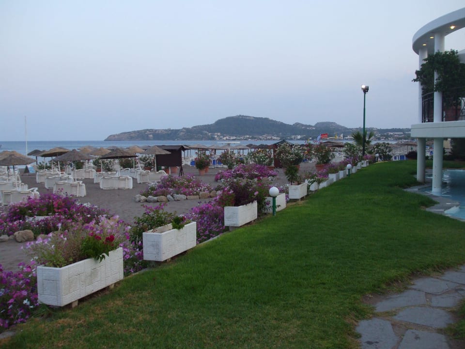 Bild 4 Hotel Calypso Beach