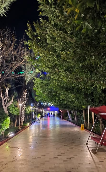 Gartenanlage Hotel Delphin Imperial