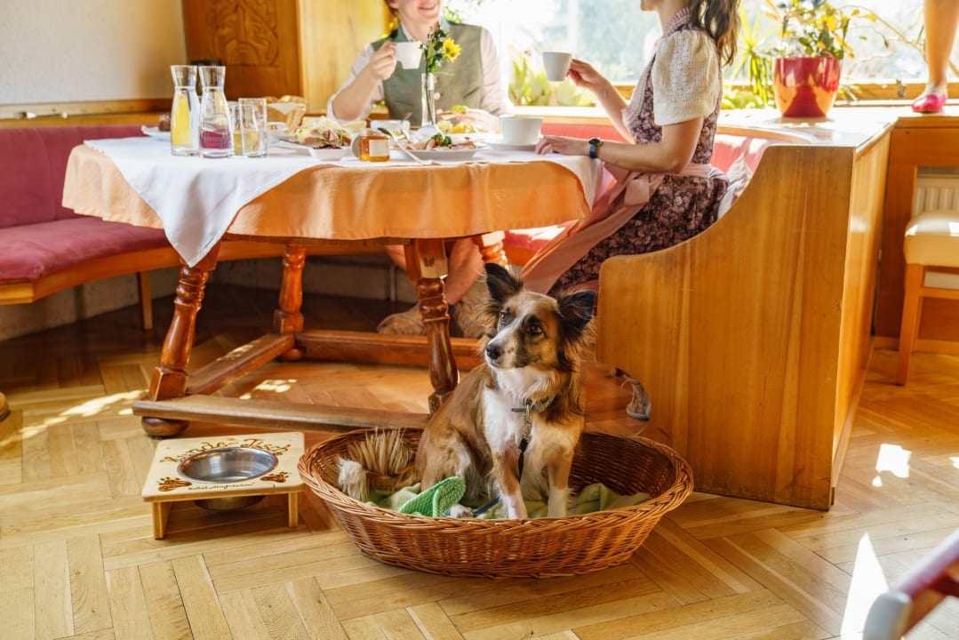 Gastro Almfrieden Hotel & Romantikchalet