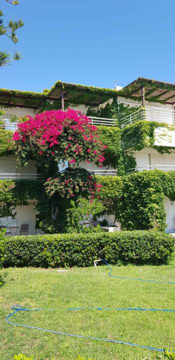 Gartenanlage Apollonia Beach Resort & Spa