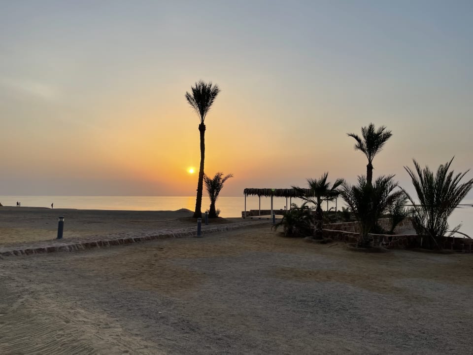 Ausblick Steigenberger Coraya Beach - Adults only