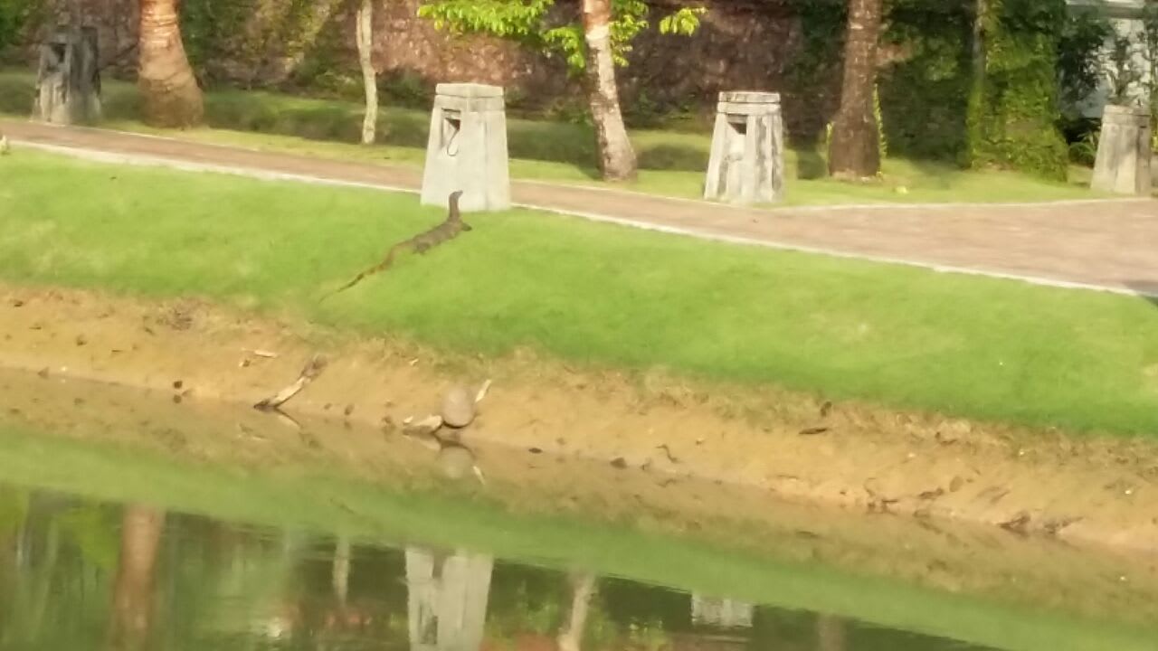 Gartenanlage Khaolak Laguna Resort