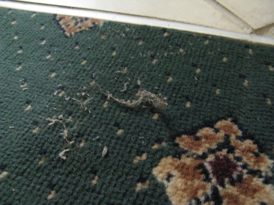 Ebenfalls vergessen ! Hotel Gondel