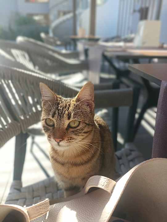 Sonstiges Megasaray Resort Side