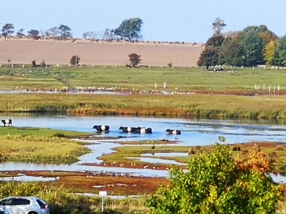Ausblick Heiligenhafen Ferienpark
