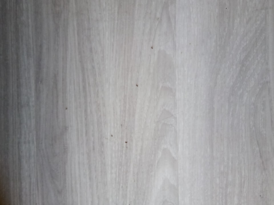 Zimmer SBH Hotel Taro Beach