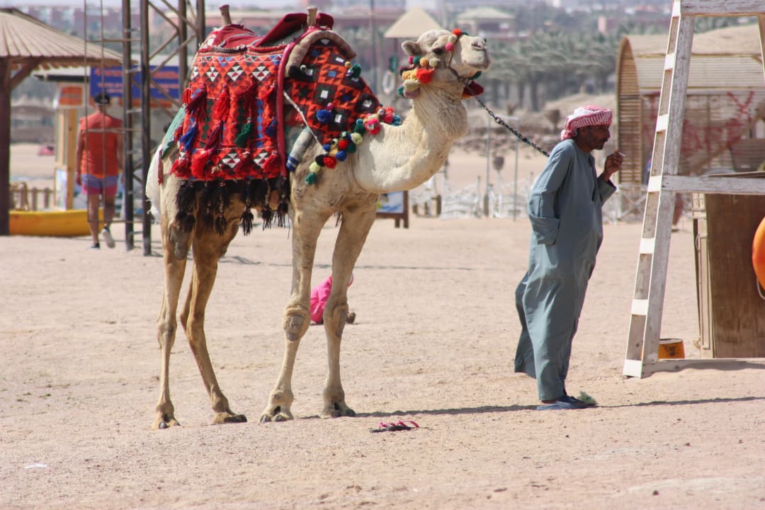 Hotel Regency Plaza Resort Regency Plaza Aqua Park & Spa