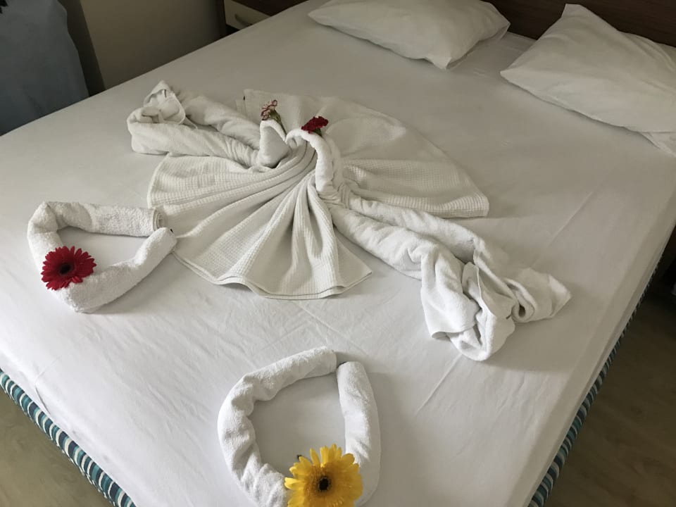 Zimmer Side West Park Hotel