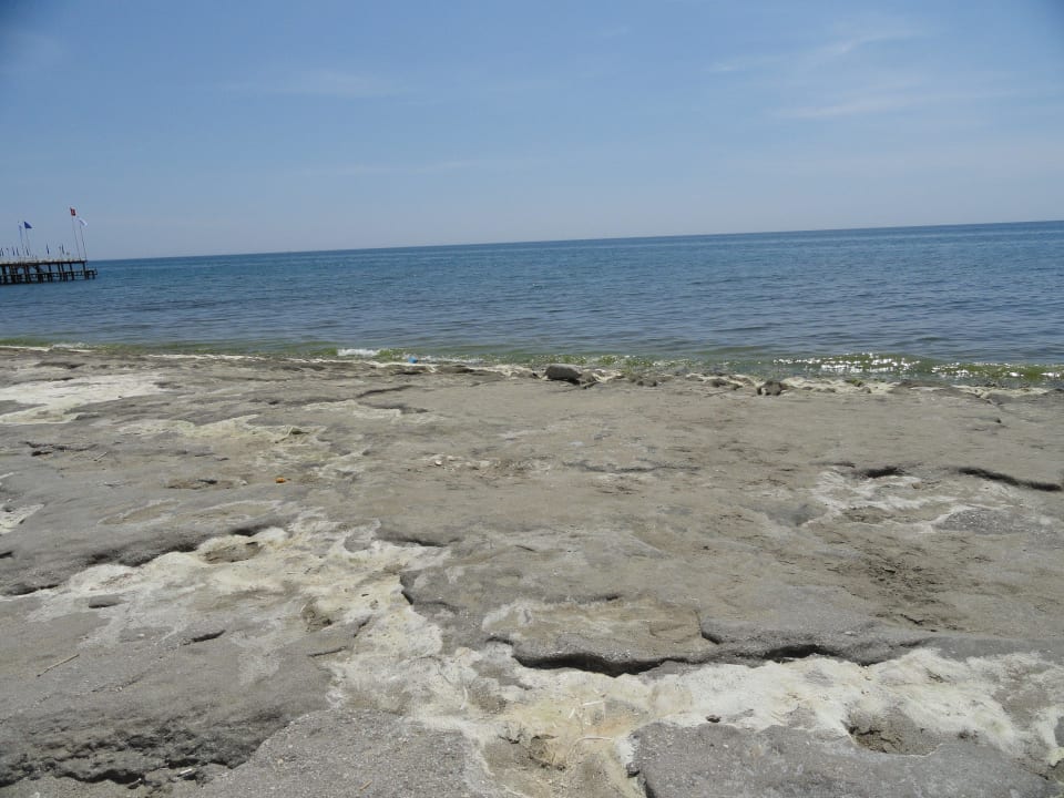 Schmutzig Dizalya Palm Garden