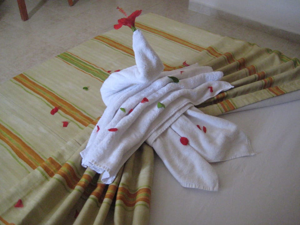 Größeres Trinkgeld größere Aufmerksamkeit Tivoli Hotel Aqua Park